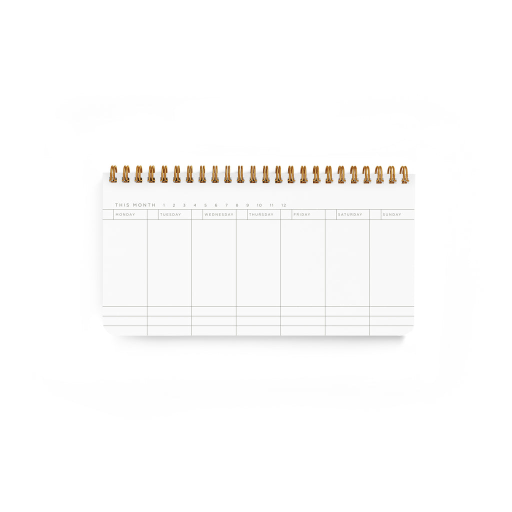 Petite Planner Blush