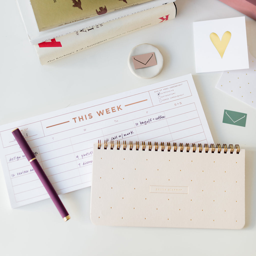 Petite Planner Blush