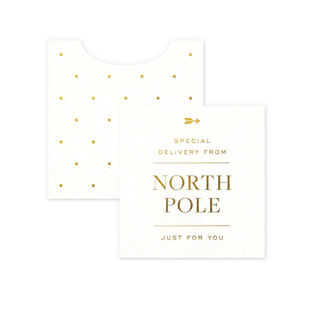 North Pole Mini Enclosure