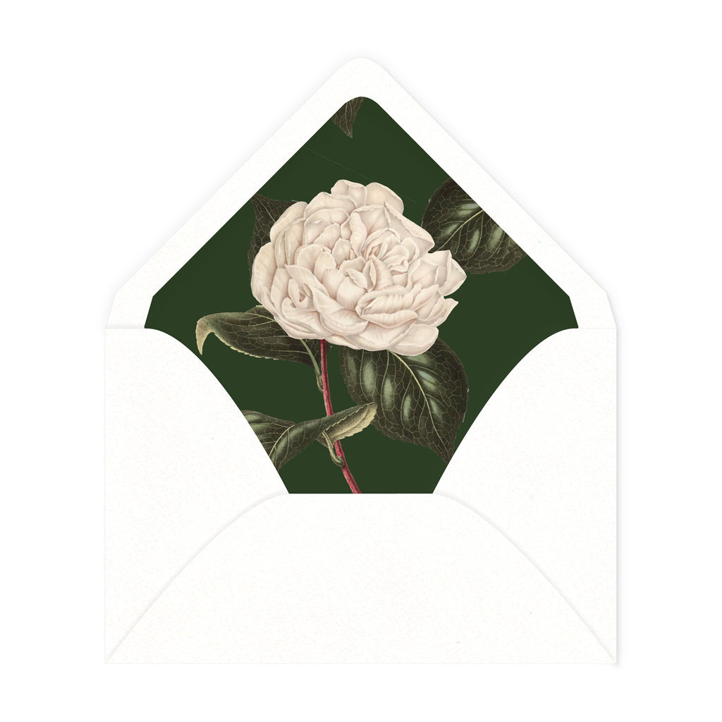 Botanical Envelope Liners