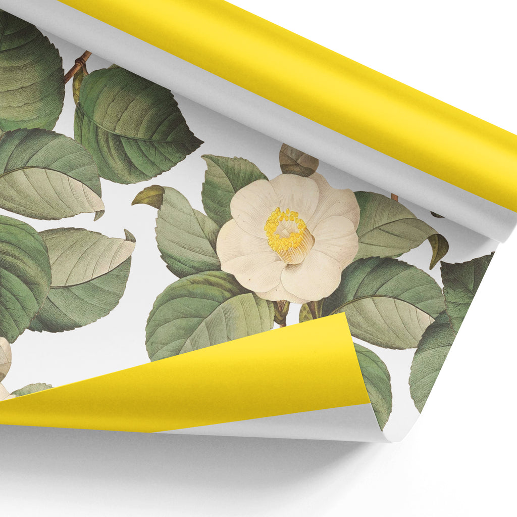 Camellia Gift Wrap Sheets