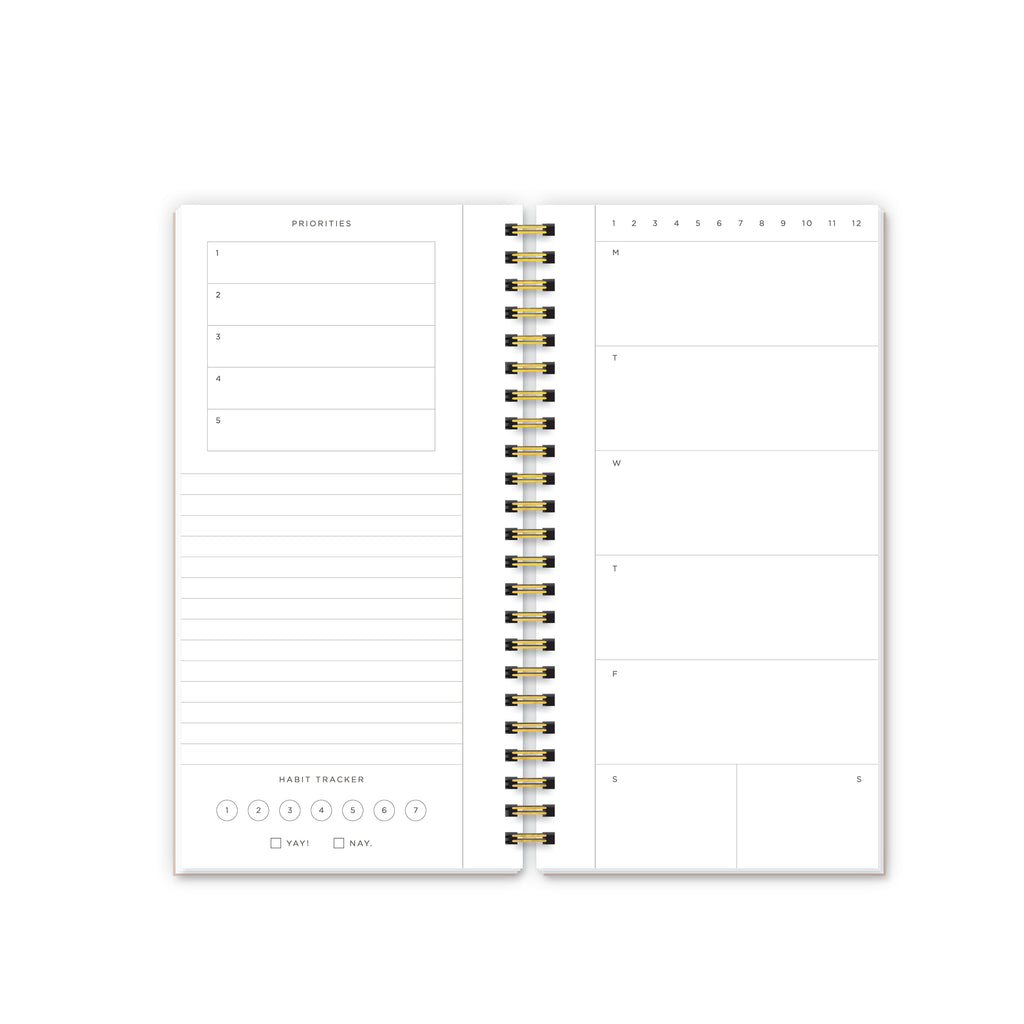 Weekly Record • Open Dated Planner